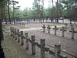 Польское кладбище в Сосновом Бору на Чмировке