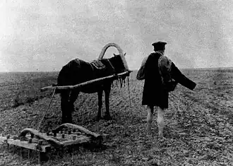 Посев льна в начале XX века