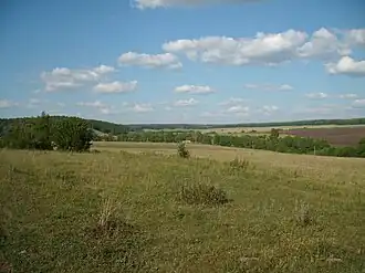 Вид посёлка с южной стороны