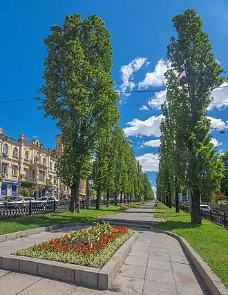 начало аллеи