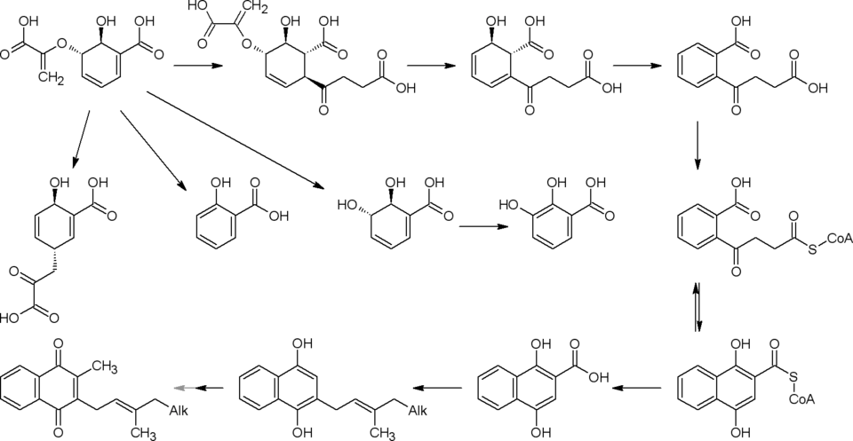 Превращения изохоризмата
