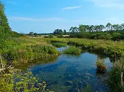 Приток реки Оредеж в д.&nbsp;Большое Заречье