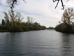 Протока Черторой у Труханова острова