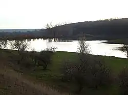 один из прудов на реке