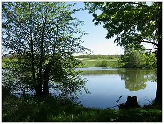 Пруд около Базарно-Карабулакского тракта