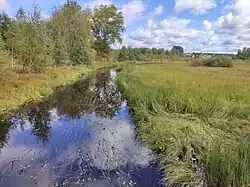 Река в селе Ведлозеро