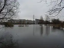 Разлив стариц в Парке Интернационалистов