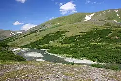 Река Бадьяёган летом 2017 года