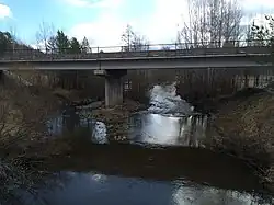 Вид с финского моста на современный.