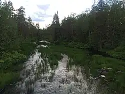 Вид с автомобильного моста по течению