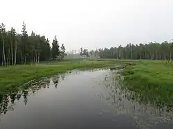 Река Гатчинка. Вдалеке - мост на дороге Можжевеловой