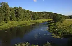 Река Дёржа под Зубцовом