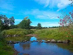 Река Дивенка у деревни Тозырево