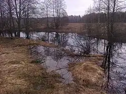 Река Кестромка в районе деревни Аксениха