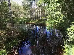 Вид против течения