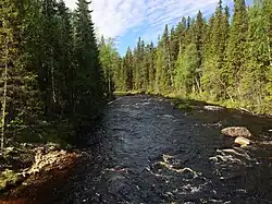 Вид против течения