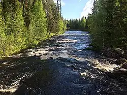 Река Ливо. Вид по течению
