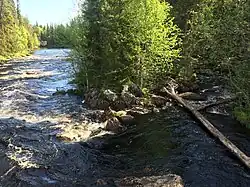 Остров в русле Ливо