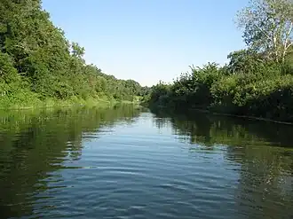 Медведица в районе с.&nbsp;Озерное, Аткарский район