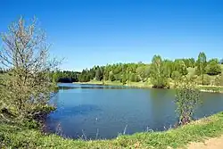 Река Ошеть около села Ошеть