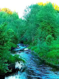 Устье реки Сара