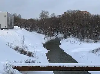 Река Сетунь. Вид с Аминьевского шоссе