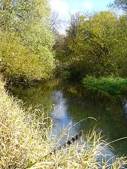 Река Солова перед впадением в Упу.Сентябрь 2009.