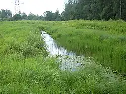 Река Старожиловка