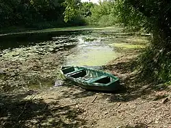 Река Терса летом 2007 года