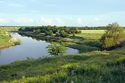 Терса у села Софиевка (Новониколаевский район)