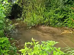 Чебоксарка недалеко от впадения в Чебоксарский залив. Август 2020