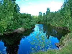 Река Шапша недалеко от устья