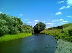 Река Юрмыч близ деревни Луговой