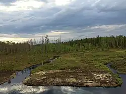 Место впадения реки Пай в реку Термант (Пай — слева)