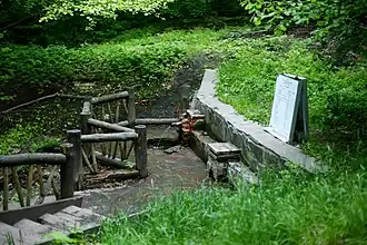 Родник "Сахарный" Винновская роща (Ульяновск).