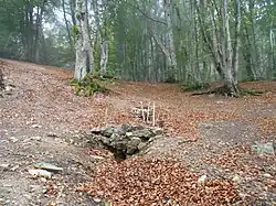 Родник Суат II