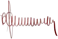 Изображение автографа