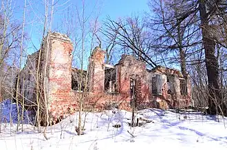 Волхонка. Руины главного дома