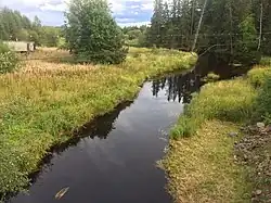 Вид по течению