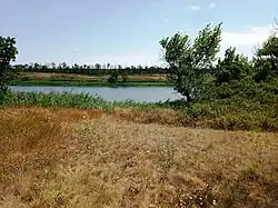 Река около Суженки