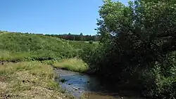 Верхнее течение Кутемы летом 2011 года