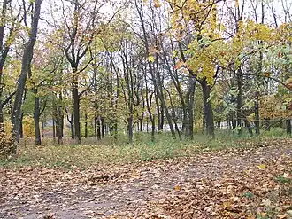 Сад командира завода