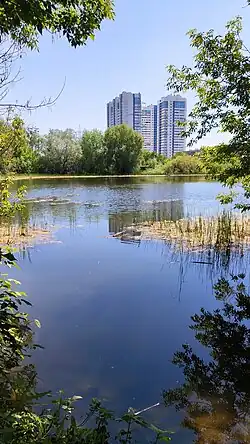 Пруд Шишига в 2019 году