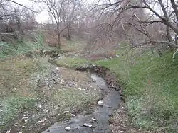 Вид с Моста на улице Шевченко.