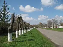 Главная улица