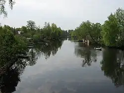 Селезнёвка в нижнем течении