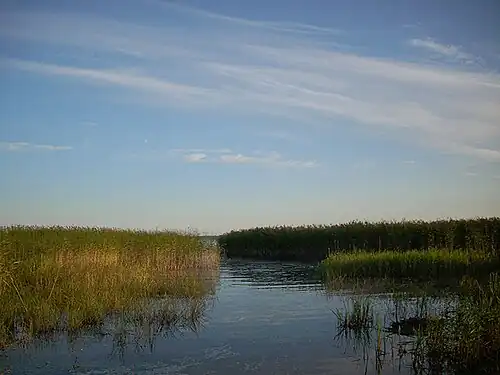 Селигер в окрестностях г. Осташкова