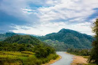 Река Черемош у села Тюдов