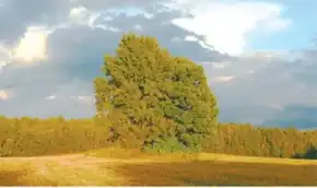 Местонахождение бывшего застенка Селище