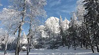 Скалы на Шунуте